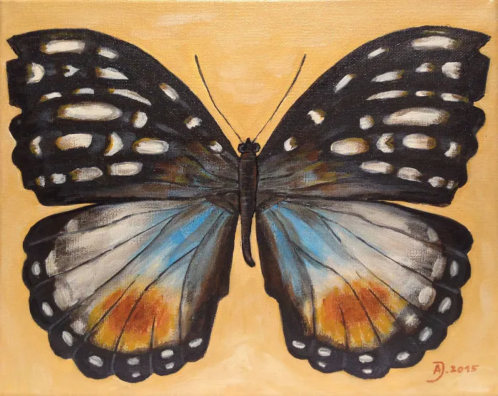 Butterflies Flew. Spring Is Coming?