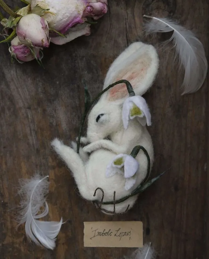 'imbolc Lepus' The Hare That Dreams Away The Quiet Hours Amongst The Silence Of Snowdrops.