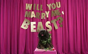 Floppy The Puli Proposes To Mark Zuckerberg’s Beast On Valentine’s Day