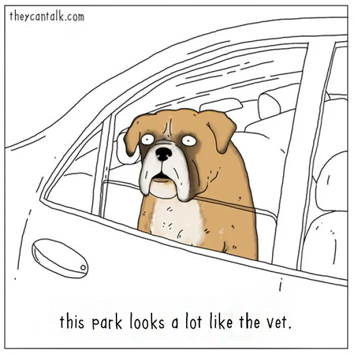 If Animals Could Talk (39 New Pics)