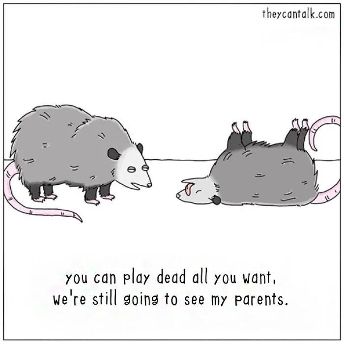 If Animals Could Talk (39 New Pics)