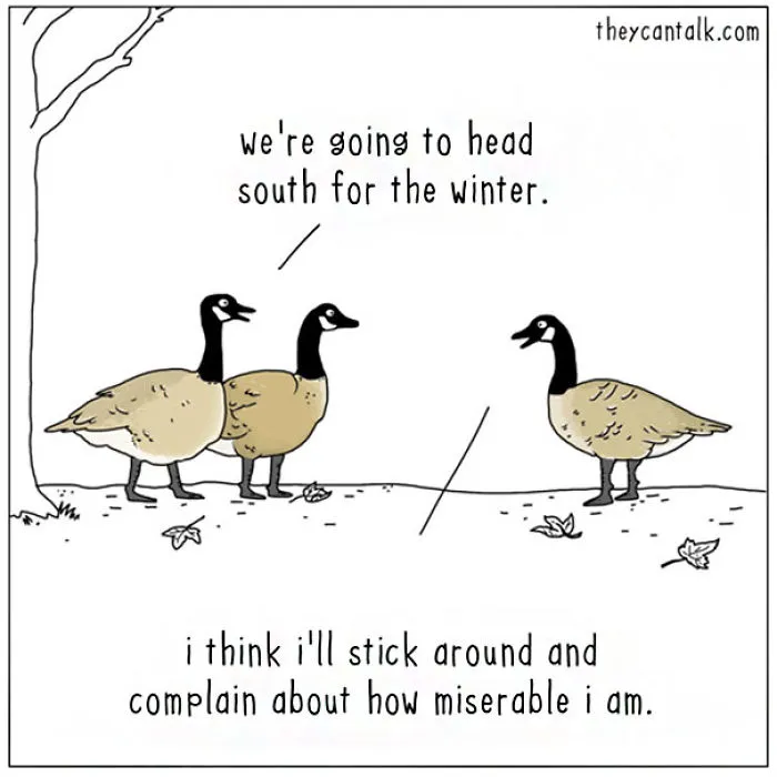 If Animals Could Talk (39 New Pics)