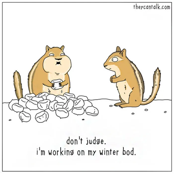 Funny Animal Comics