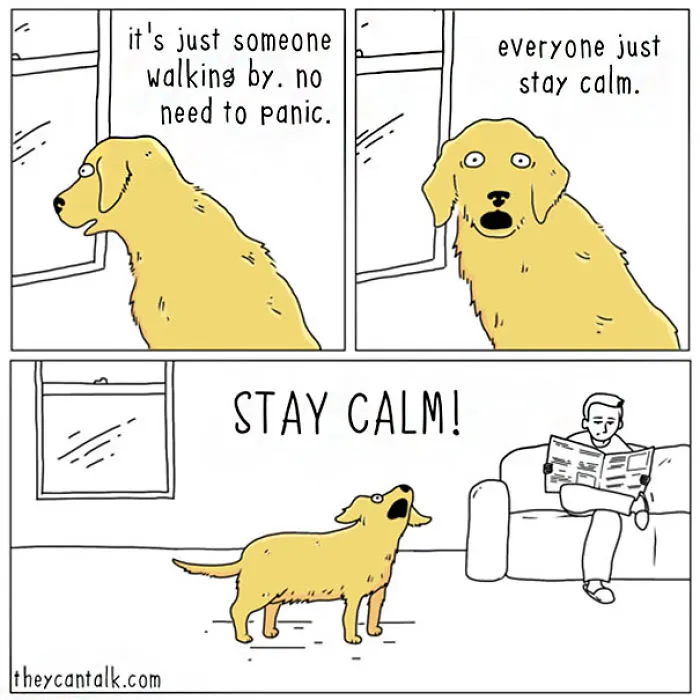 If Animals Could Talk (39 New Pics)