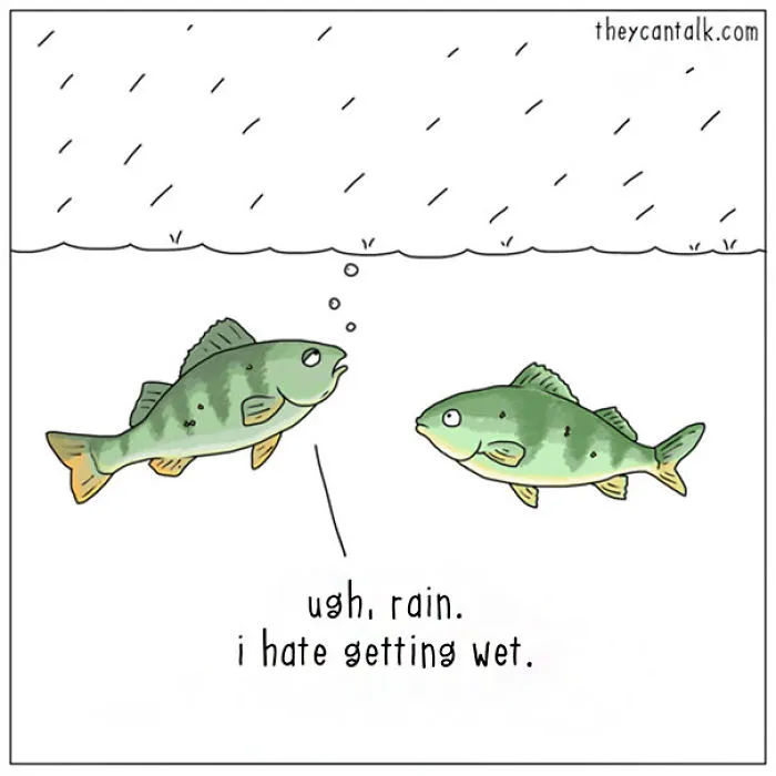 If Animals Could Talk (39 New Pics)