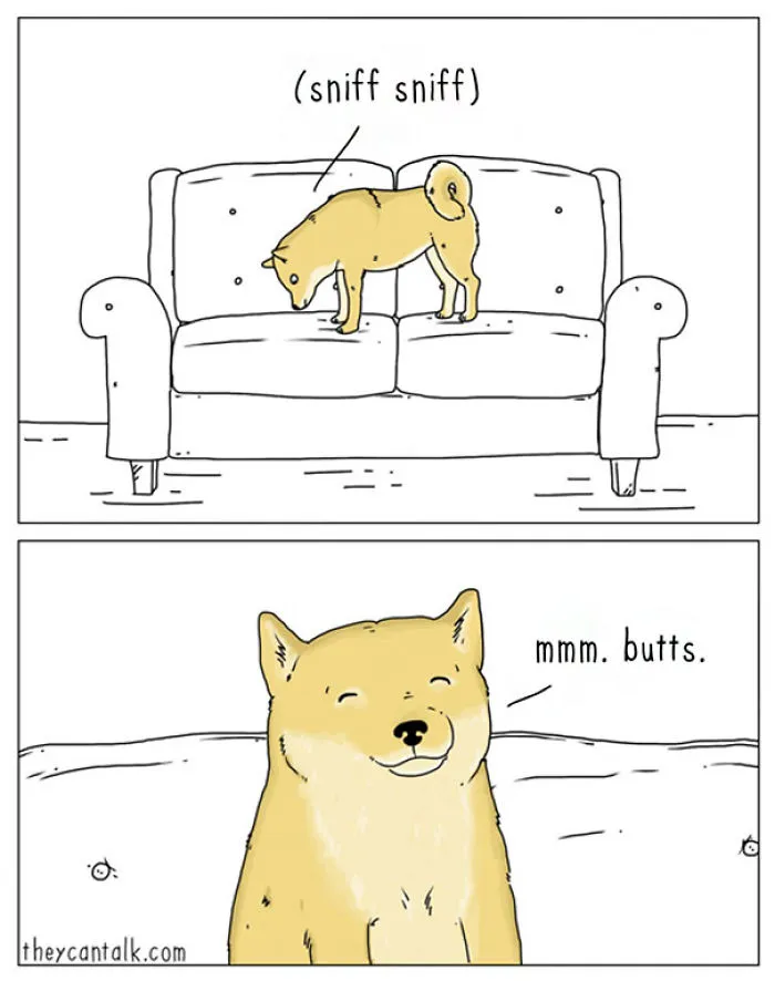If Animals Could Talk (39 New Pics)