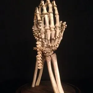 Decorus Macabre