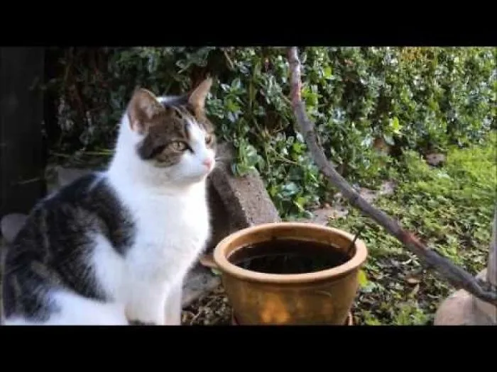 Broken Water Filter
