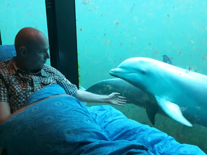 He Wanted To See The Dolphins Playing For The Last Time