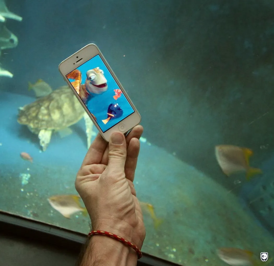 Finding Nemo