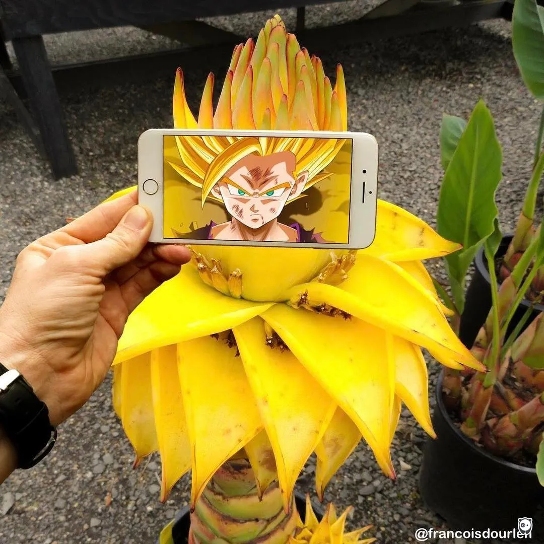Dragon Ball Z