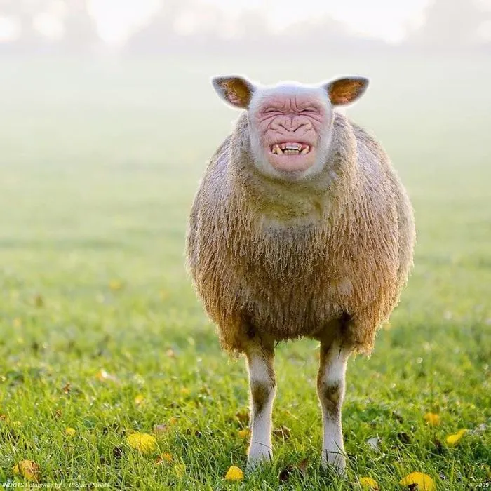 I Post Crazy Animal Hybrids That I Found On The Internet