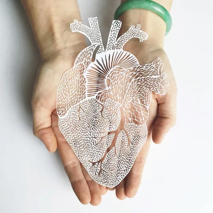 Recorto a mano en papel órganos anatómicos
