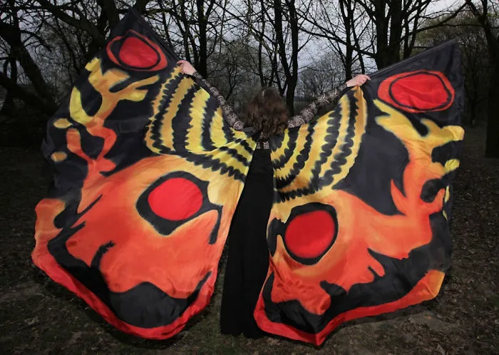 I Hand-Paint Butterfly Wings Paterns On Silk