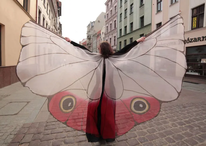 I Hand-Paint Butterfly Wings Paterns On Silk