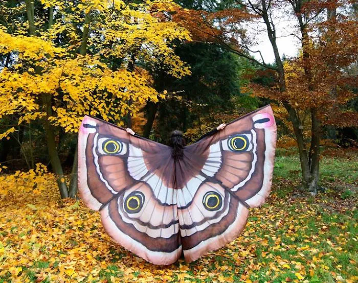 I Hand-Paint Butterfly Wings Paterns On Silk