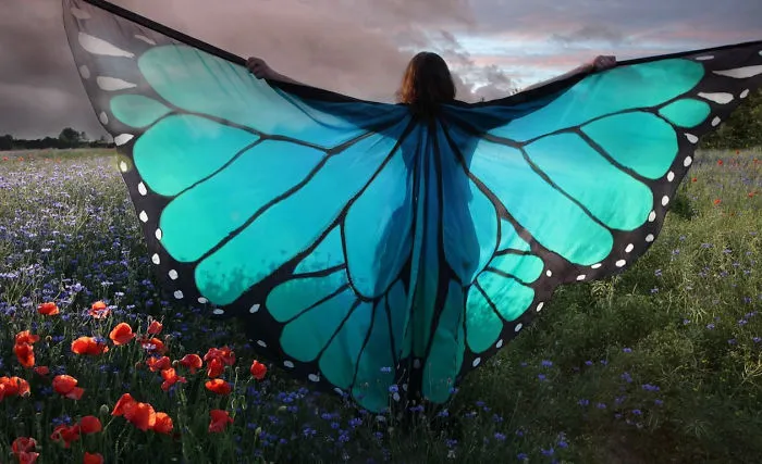 I Hand-Paint Butterfly Wings Paterns On Silk