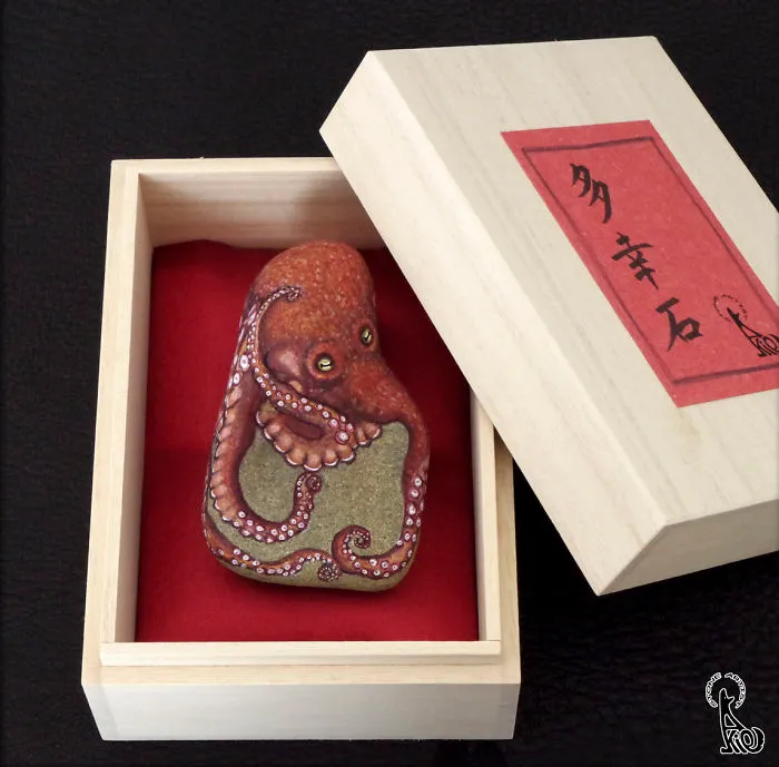 Octopus In The Special Box