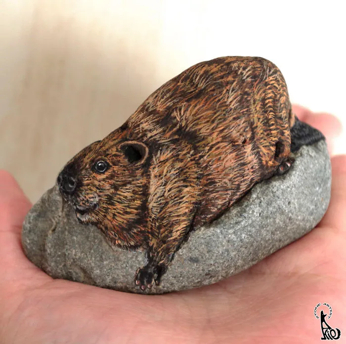 Castor