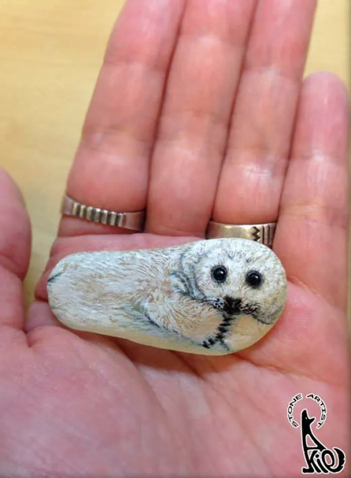 Cría de foca