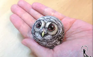 I Turn Stones Into Animals That Fit In The Palm Of Your Hand And I Hope They Make You Smile