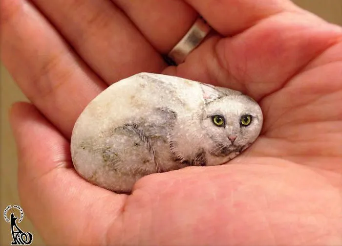 Gato blanco