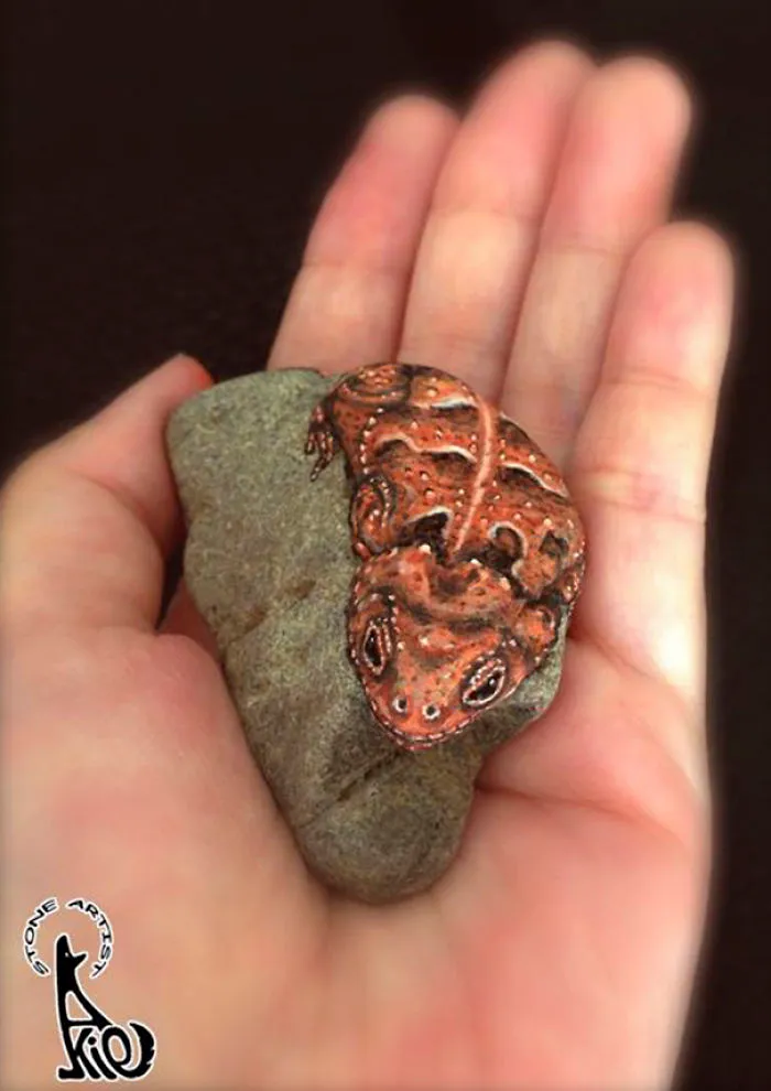 Horned Toad Baby
