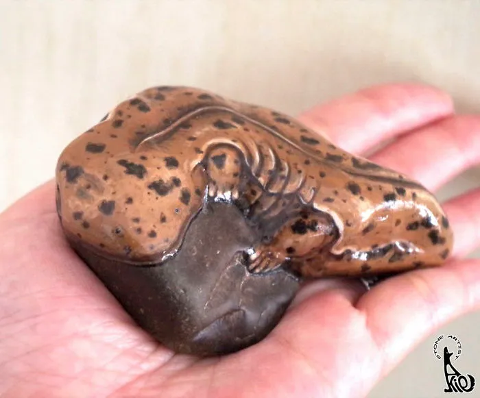 Japanese Giant Salamander
