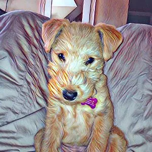 Izzy Wilson