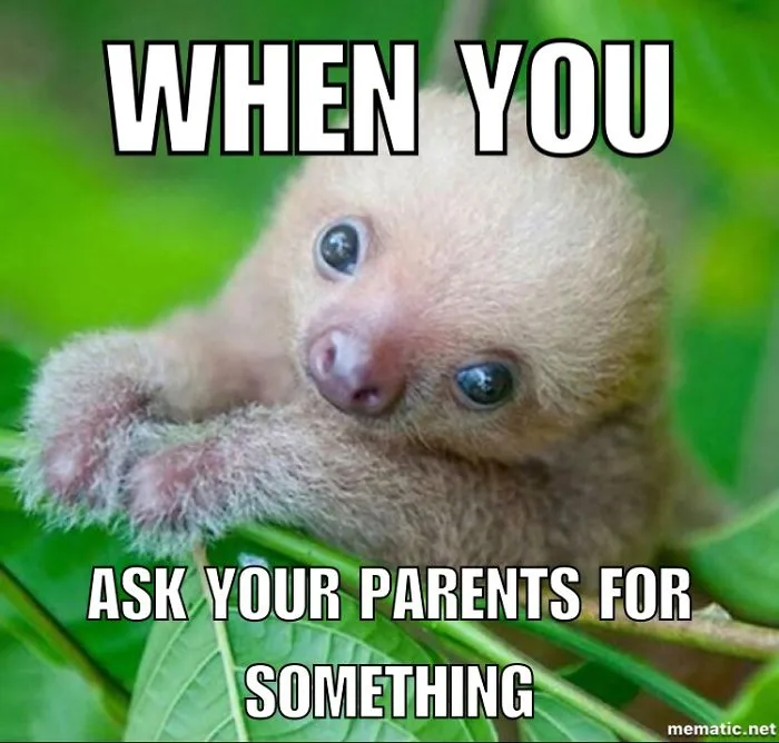 I Made More Memes!