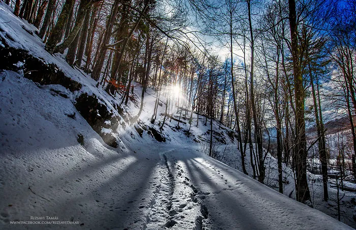 I Spent Two Days In The Snowy Croatia To Capture These Rare Photos