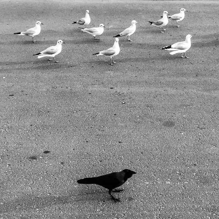 366 Street Project: I Used My iPhone To Take A Picture A Day