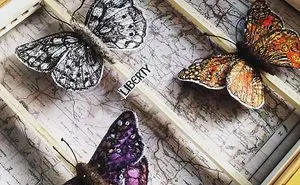 I Stitch British Butterflies And Moths.