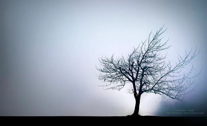 I Spent 4 Years Capturing The Beauty Of Budapest When It's Covered By Fog