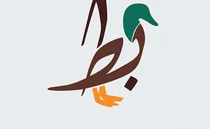 Arabic Words Illustrated Based On Their Literal Meaning