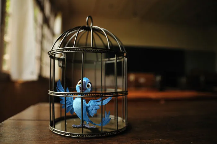Jewel In A Cage