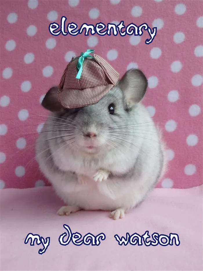 Elementary, My Dear Watson.