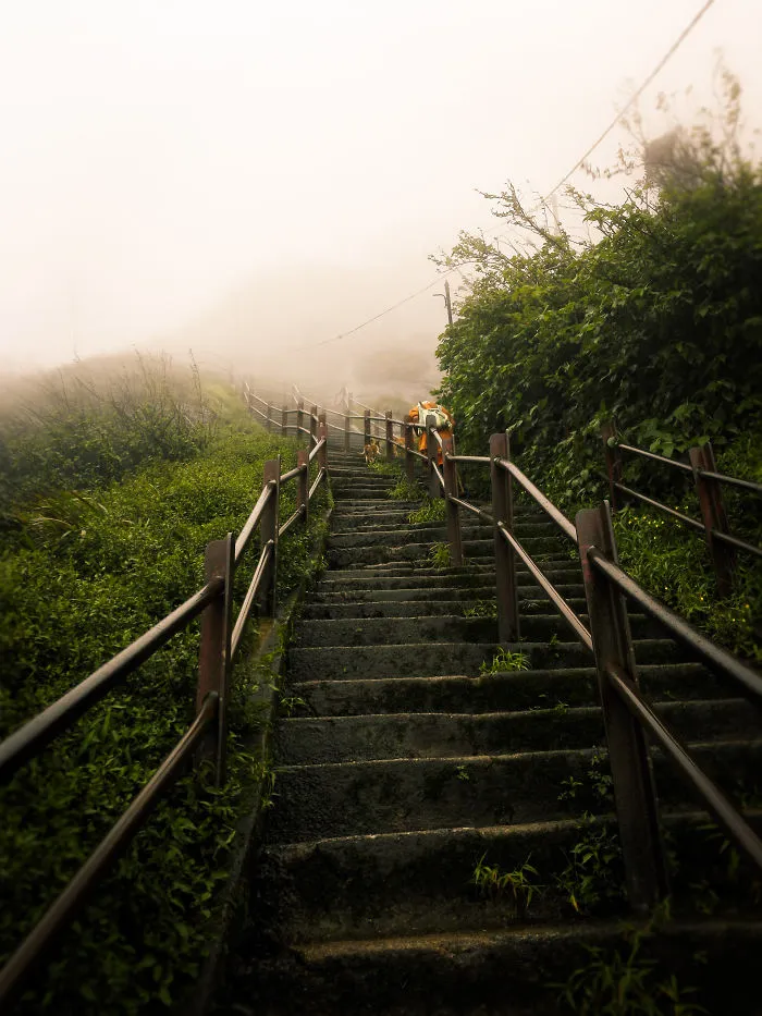 Trip- Life