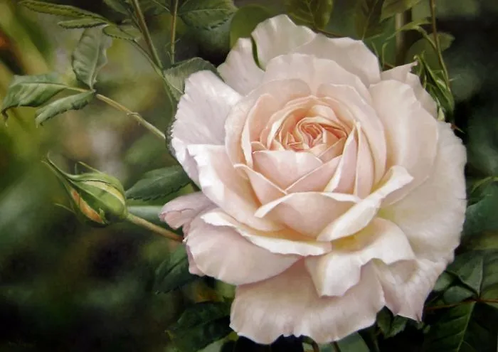 Photorealistic Paintings By Fabiano Millani