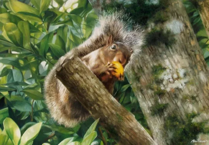 Photorealistic Paintings By Fabiano Millani