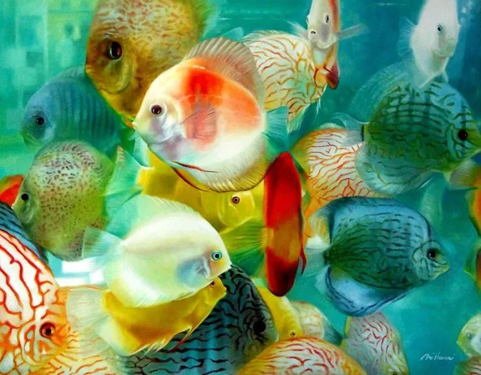 Photorealistic Paintings By Fabiano Millani