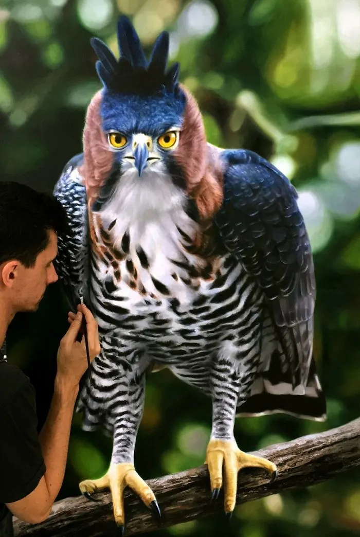 Photorealistic Paintings By Fabiano Millani