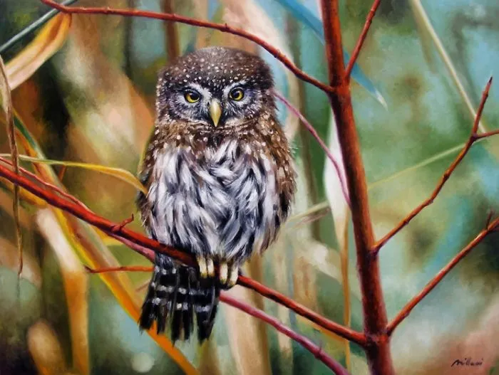 Photorealistic Paintings By Fabiano Millani