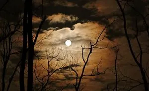 Night