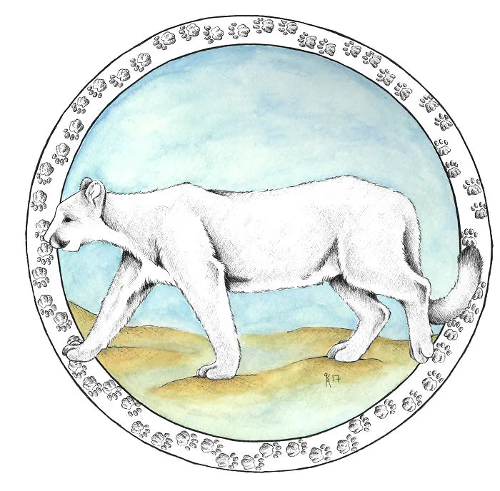 Mountain Lion
