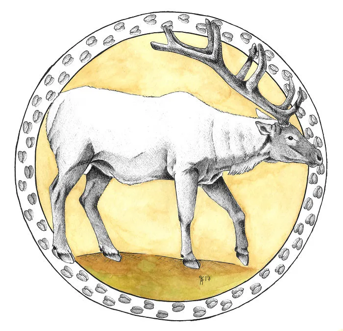 Elk