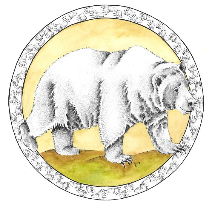 Grizzly Bear
