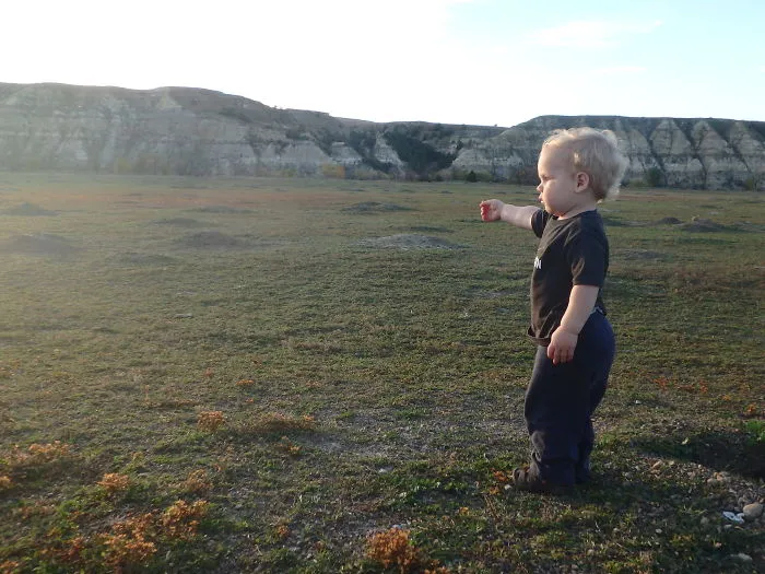 Prairie Dogs At Sunset, Theodore Roosevelt National Park