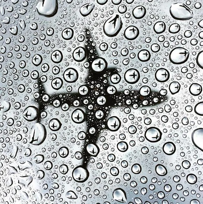 Amazing Photograph Of A Plane