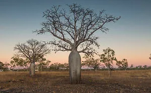 I Spent 9 Months Road Tripping The Big Lap Of Australia And Took These Amazing Photos To Remember It!
